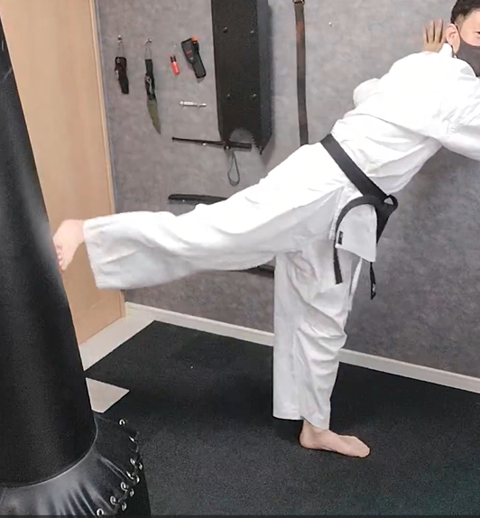 【元警察官の護身術道場】大人も使える?子供用サンドバッグの実力|ファイティングバッグJrを護身術目線でレビュー