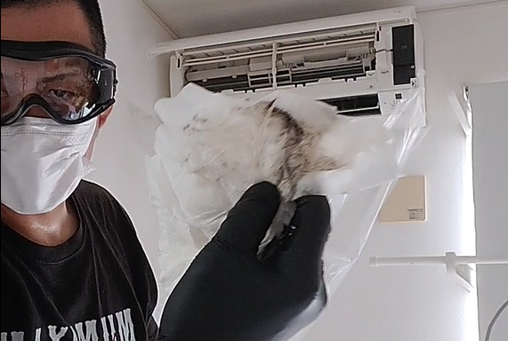 【元警察官直伝】エアコン内部清掃を自分で安全に！おすすめスプレーと掃除手順を完全解説