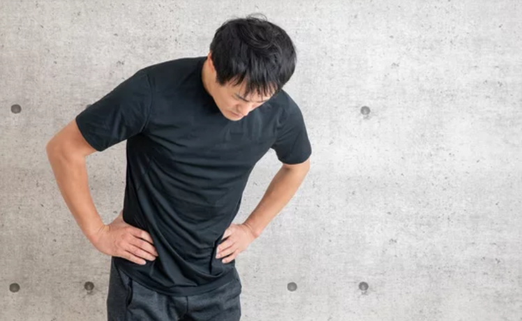 アイルランド産グラスフェッド、ニチガのWPIプロテインとイソマルトオリゴ糖の組み合わせで、脂肪燃焼効率UP、腸内環境改善、血糖値安定、味の飲みやすさまで叶える効果を解説します。