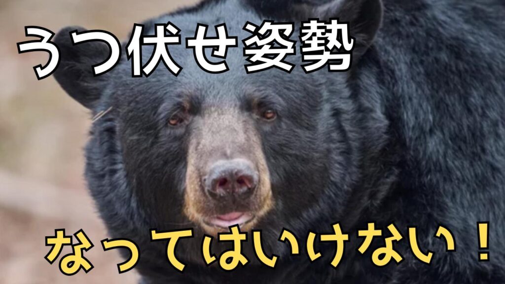 「ツキノワグマも油断禁物｜ヒグマ事例から学ぶ“本当に身を守れる熊対策”と正しい行動」